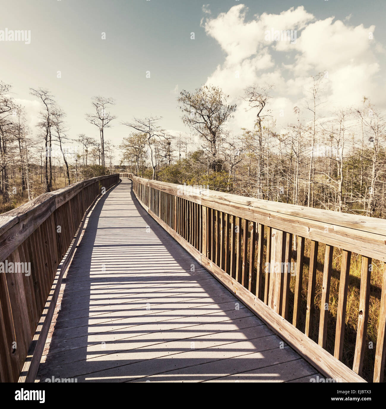Boardwalk in swamp Stock Photo Alamy