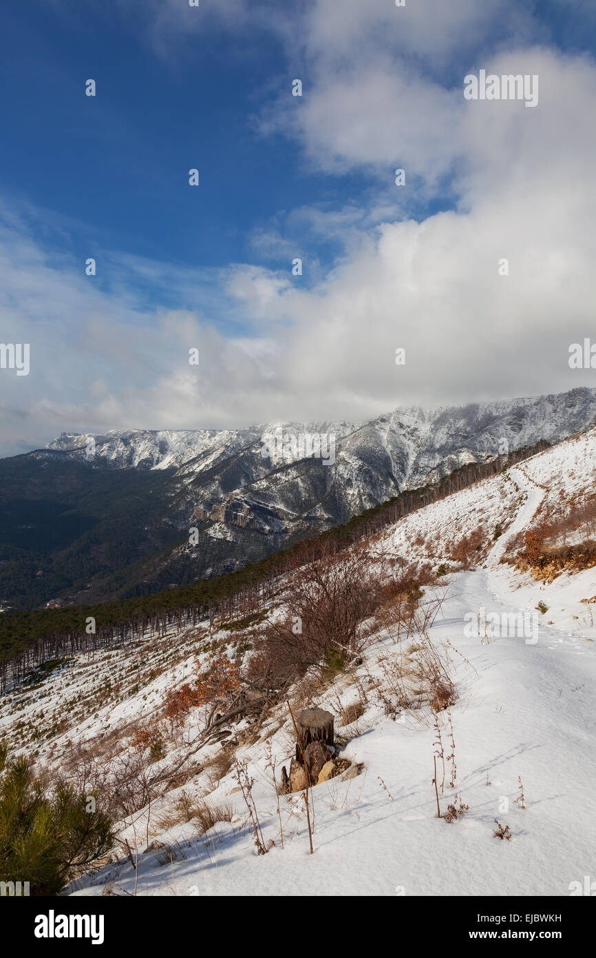 winter mountain landscape. Ukraine Stock Photo