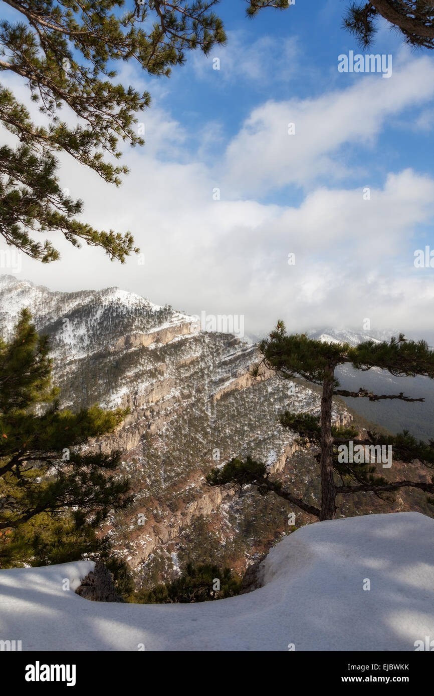 winter mountain landscape. Ukraine Stock Photo