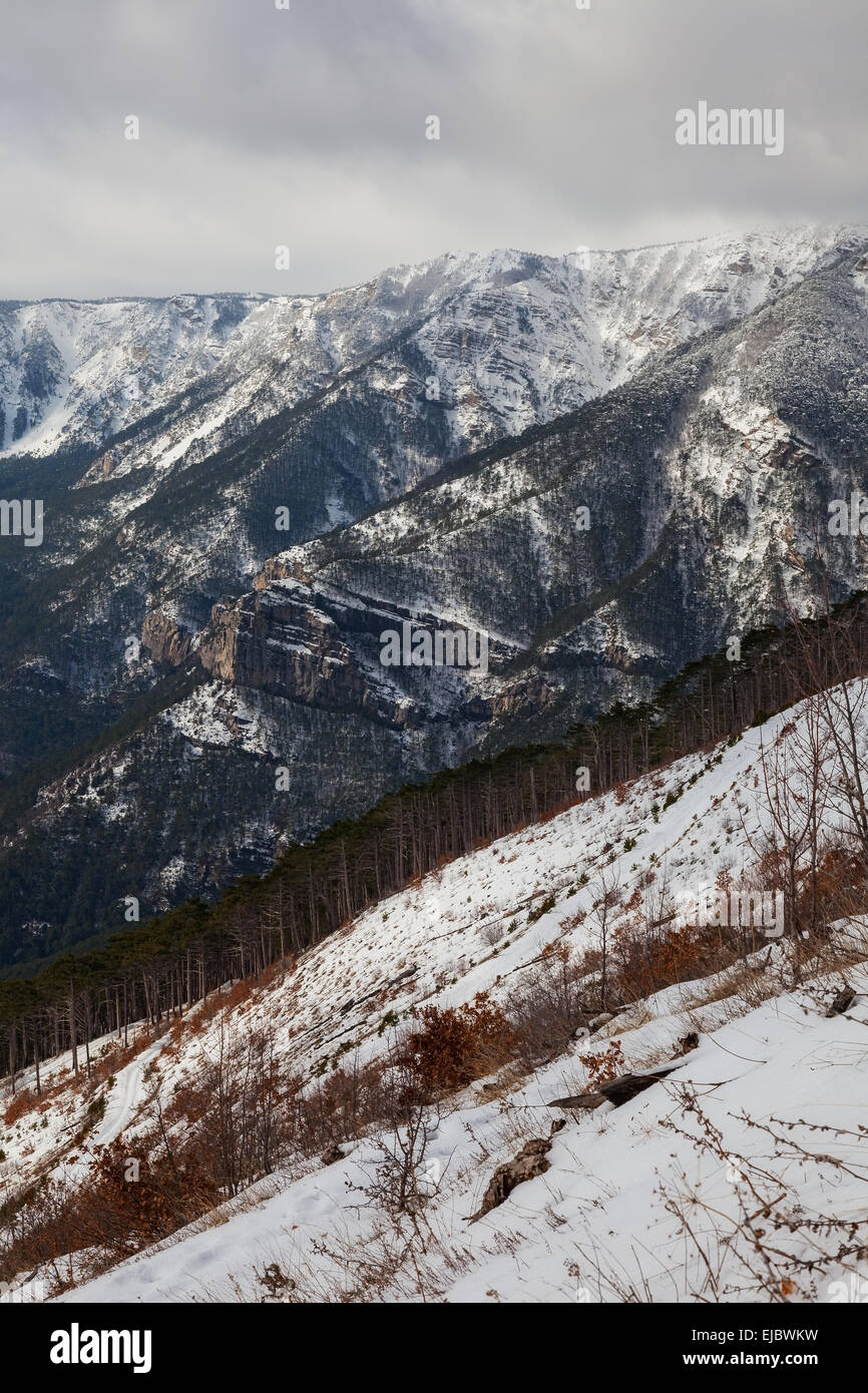 winter mountain landscape. Ukraine Stock Photo