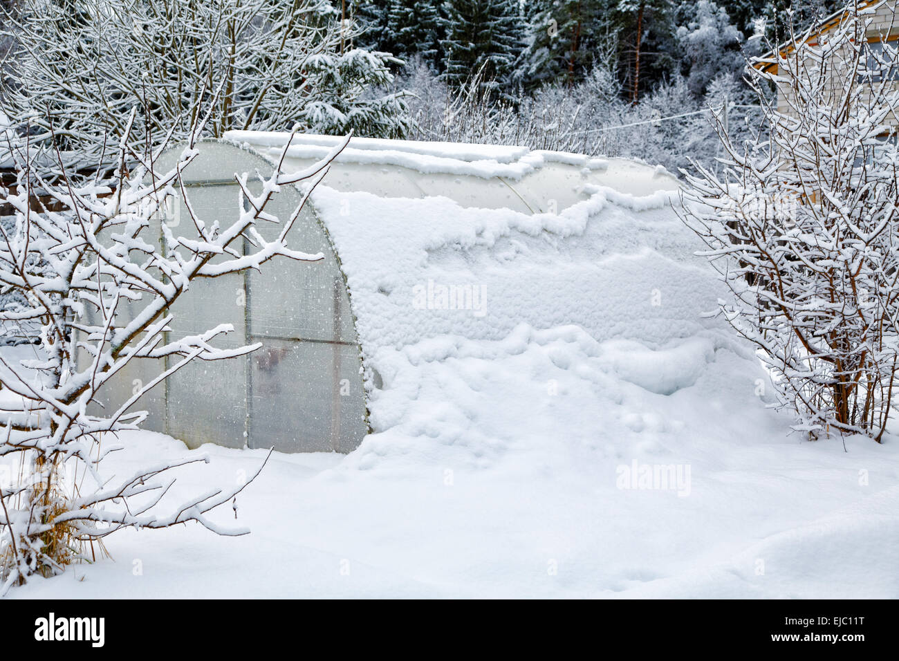 Hothouse brought by snow in the winter Stock Photo