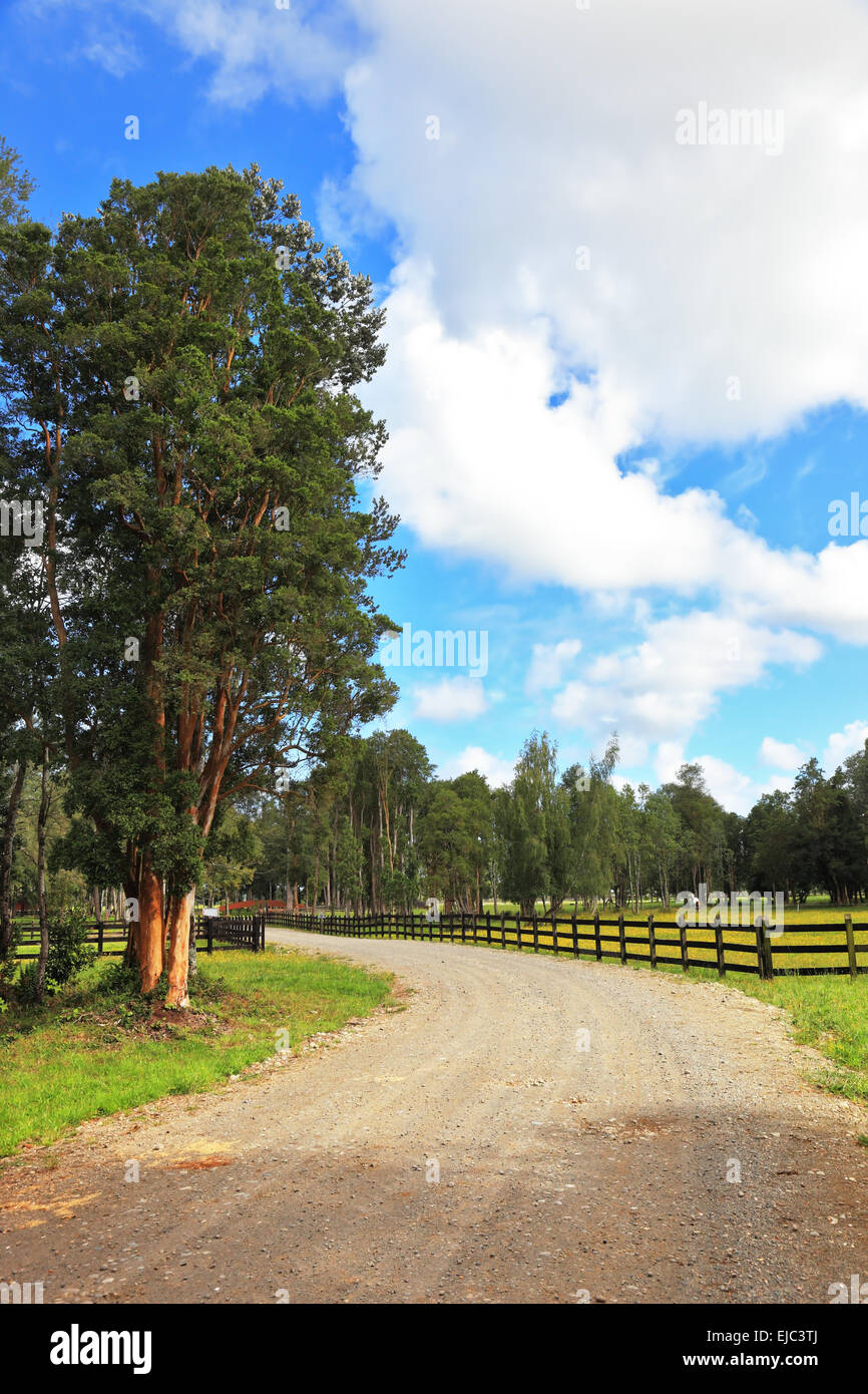 The dirt road, fenced low sturdy fence Stock Photo