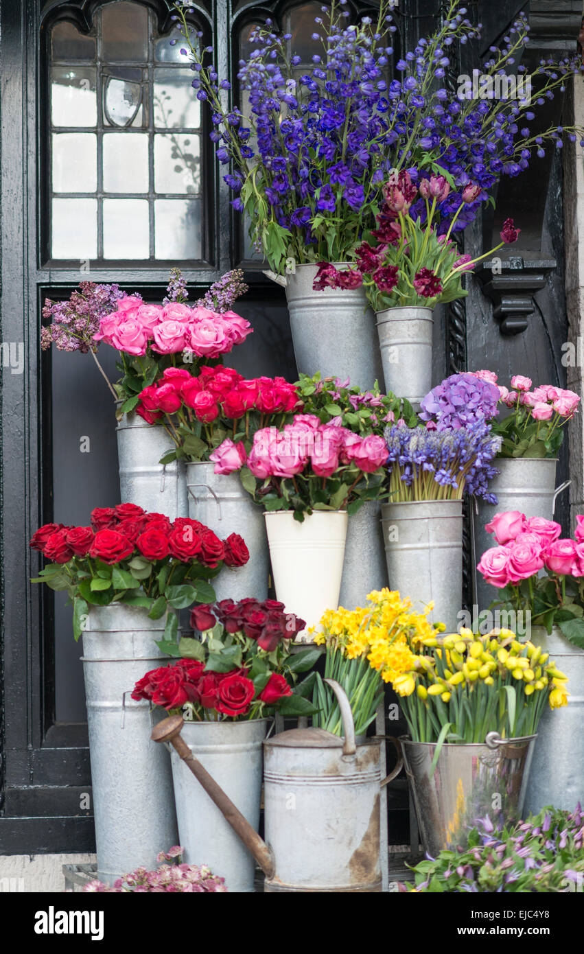 Roses, daffodils, bluebells and other spring flowers at London market