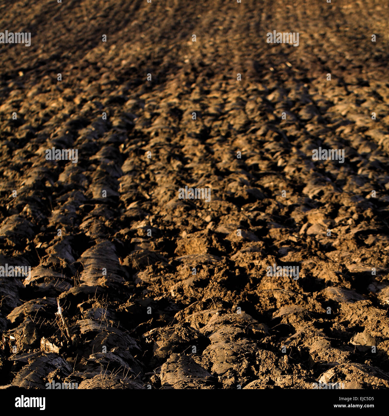 Erde bilder hi-res stock photography and images - Alamy