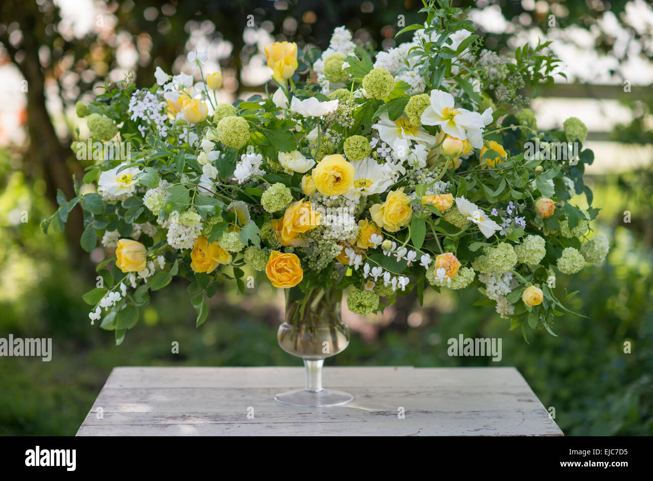 Spring floral arrangement bouquet of yellow roses, white poppies and snowball bush Stock Photo