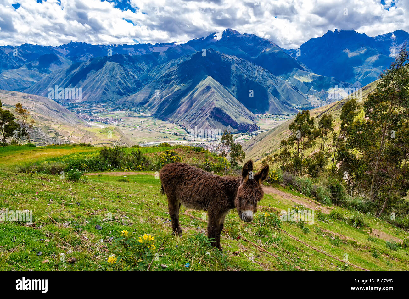 The Andes in Peru Stock Photo - Alamy