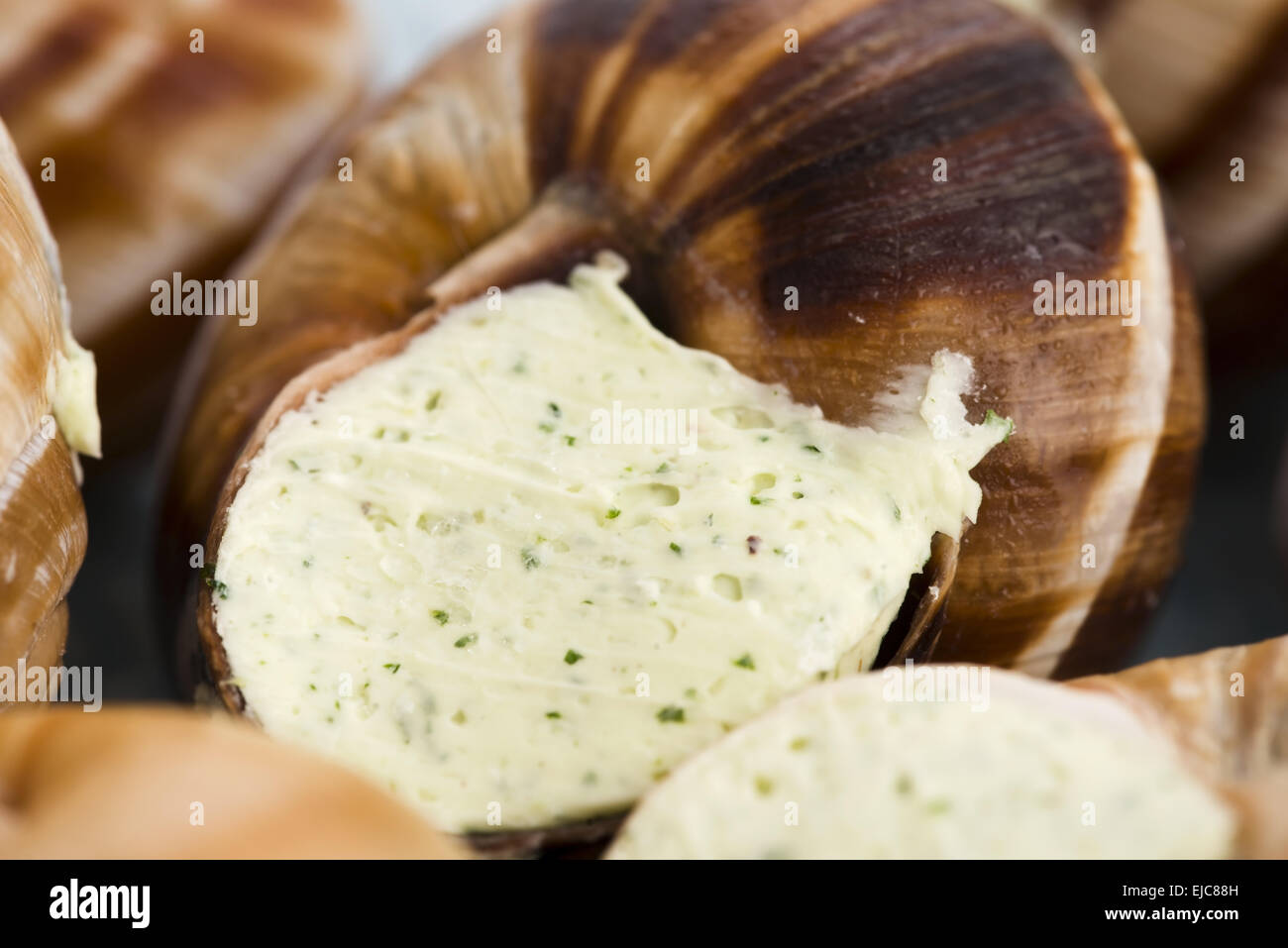 Close up of Escargots with garlic butter Stock Photo Alamy