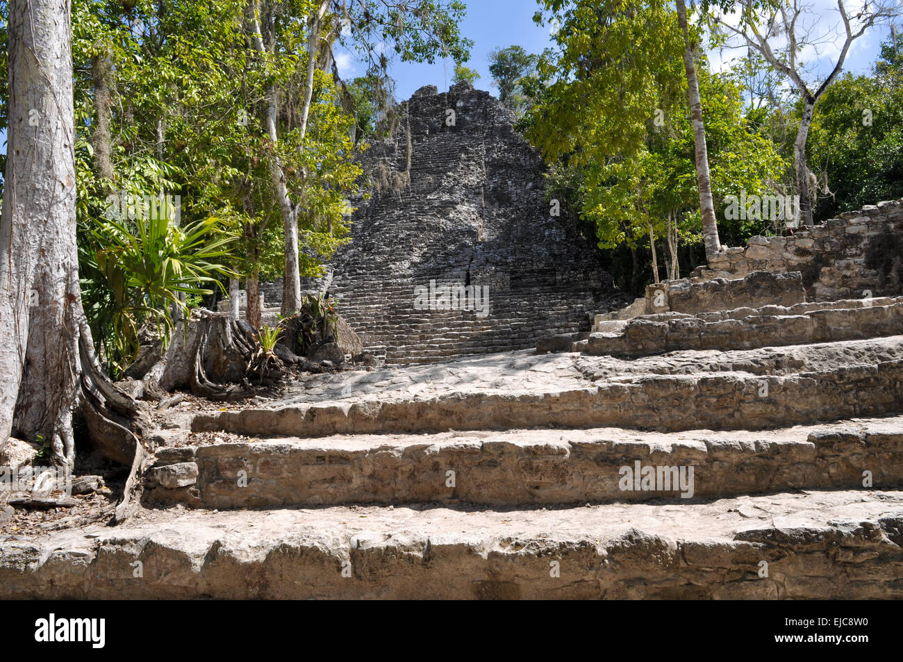 Coba Mayan Ruins in Mexico Stock Photo