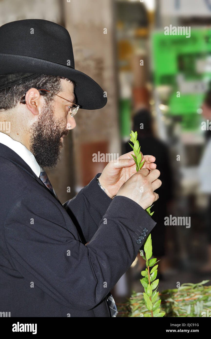 The young man chooses ritual plant Stock Photo