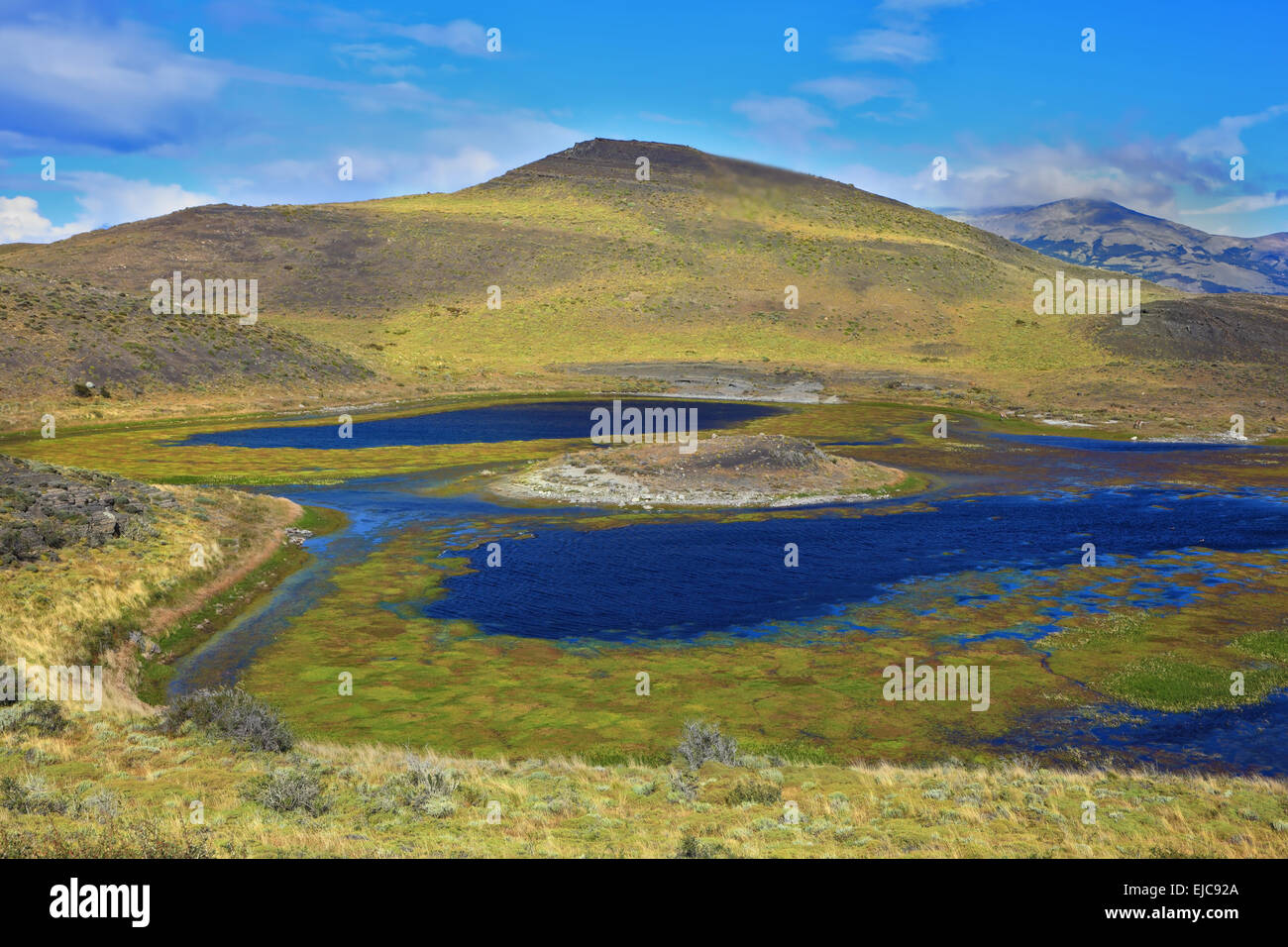 Blue water grassy lake Stock Photo Alamy