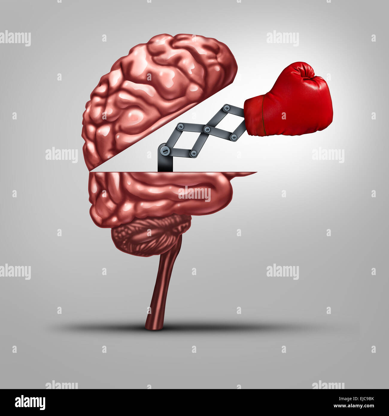 Strong memory and brain strength symbol as a human thinking organ opened to reveal a boxing glove as a concept for fighting alzhiemers disease and other dimentia illnesses or education tools to help competitiveness. Stock Photo
