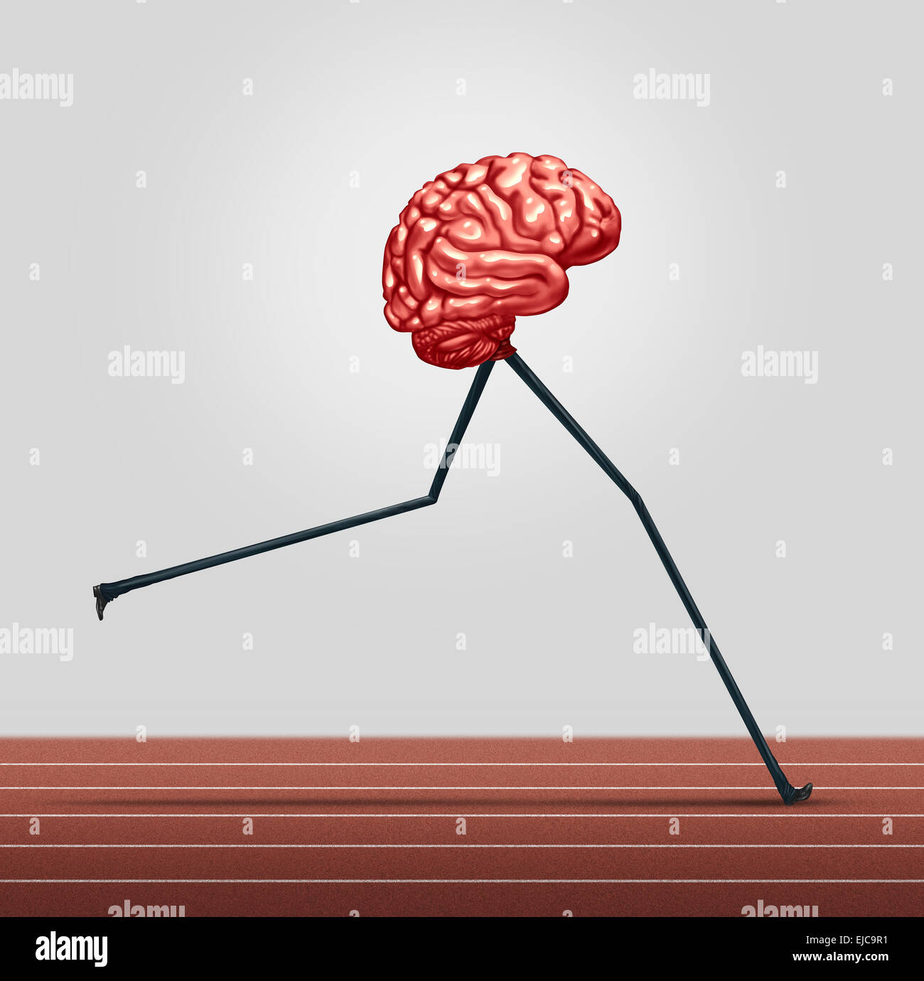 Fast brain and memory training concept as a human thinking organ with legs running on a track as a health care symbol for neurological fitness and cerebral wellbeing. Stock Photo