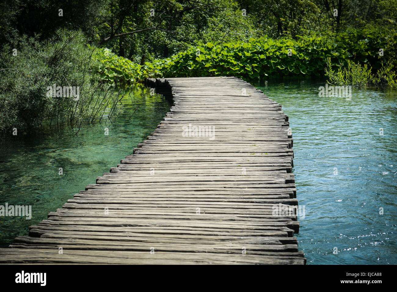 Makeshift wooden bridge over water Stock Photo - Alamy