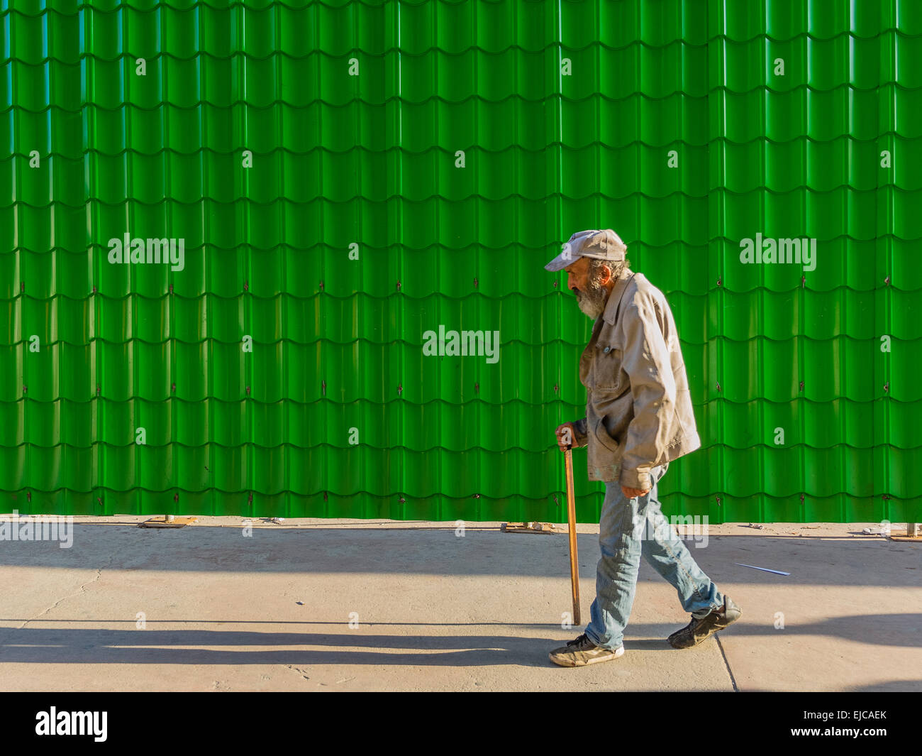 A Cuban male senior citizen walks in late afternoon light with a cane, wearing a baseball type hat against a green background. Stock Photo