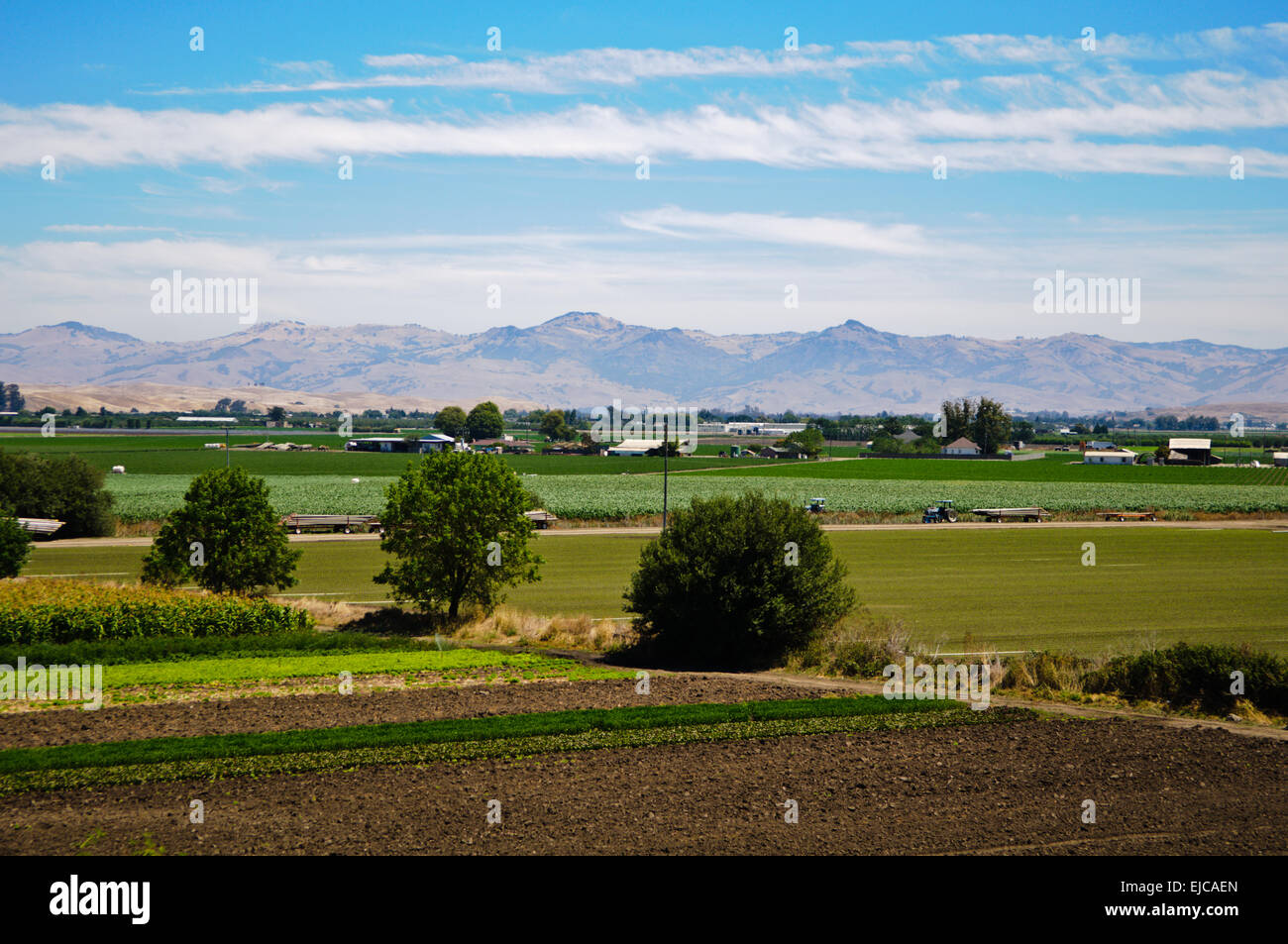 Agriculture in california hi-res stock photography and images - Alamy