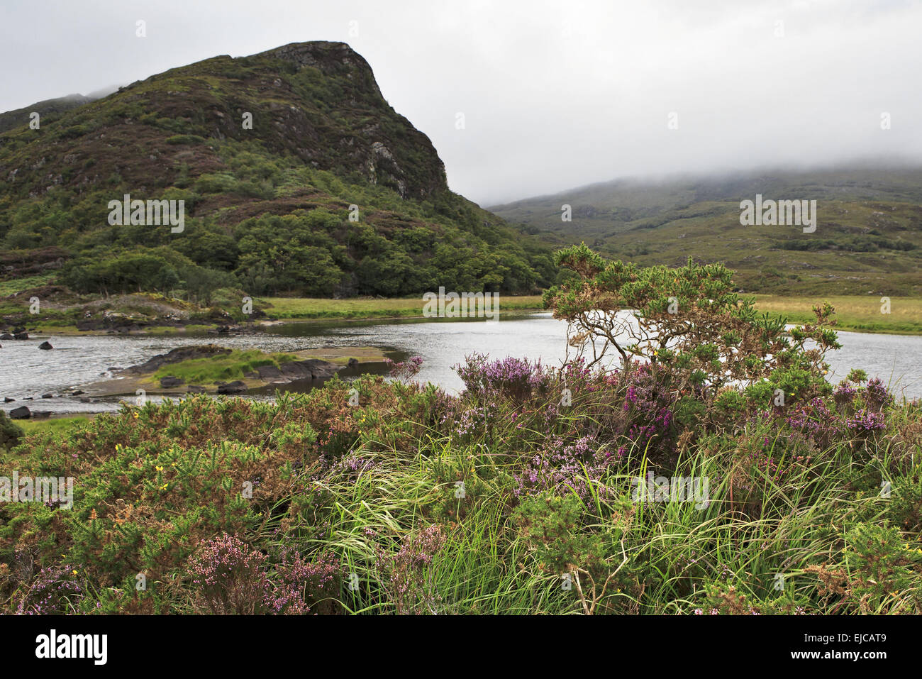 Upper Lake in Killarney National Park Stock Photo Alamy
