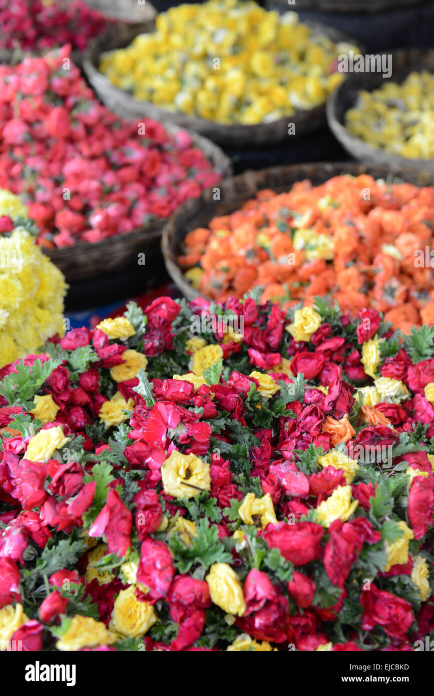 Roses for Sale at Indian Flower Market Stock Photo
