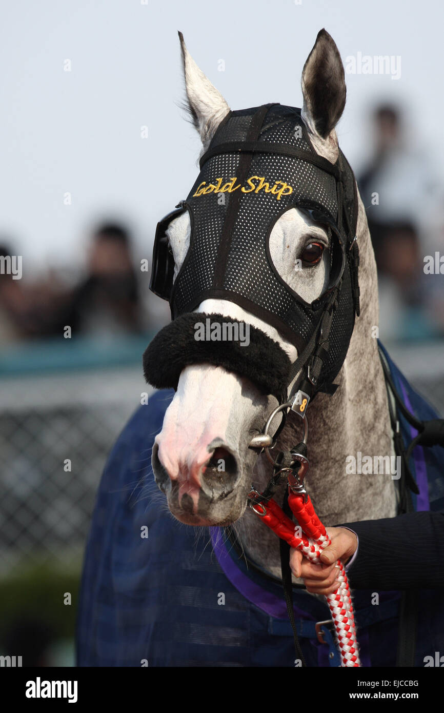 Hyogo, Japan. 22nd Mar, 2015. Gold Ship Horse Racing Gold Ship after
