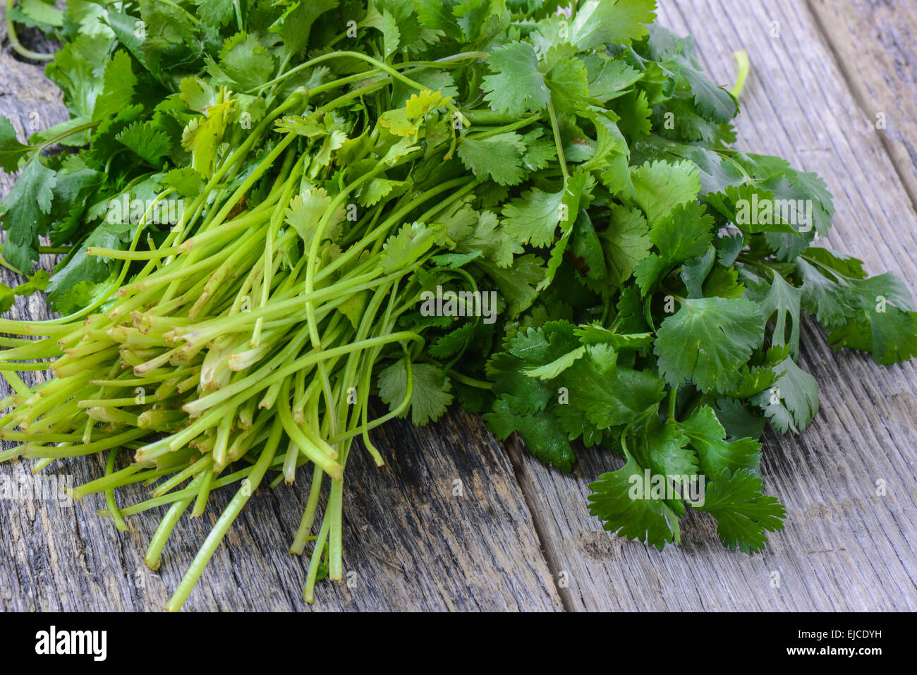 Fresh Cilantro on Wood Background Stock Photo - Alamy