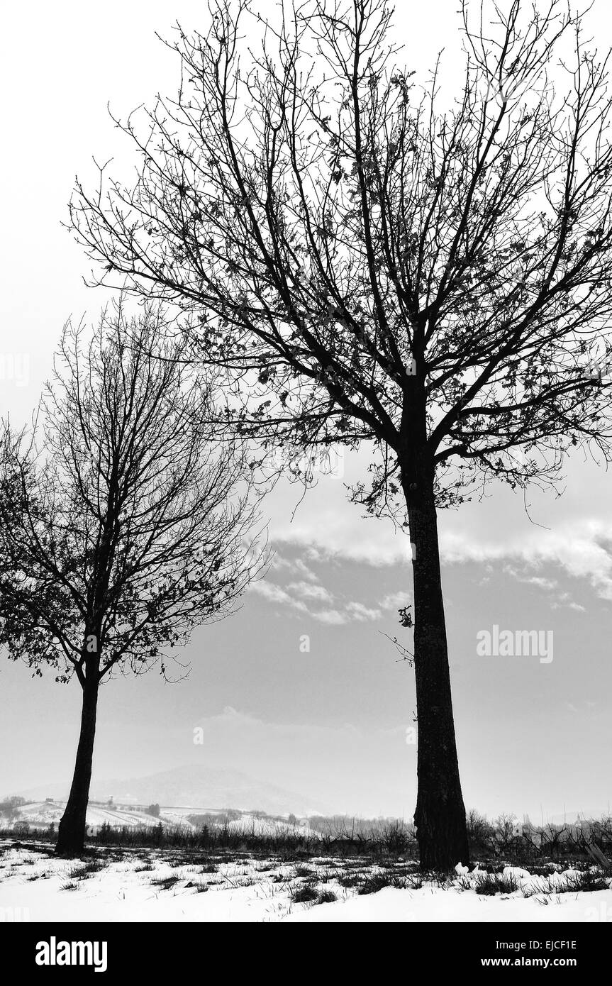 cold winter black and white Stock Photo Alamy
