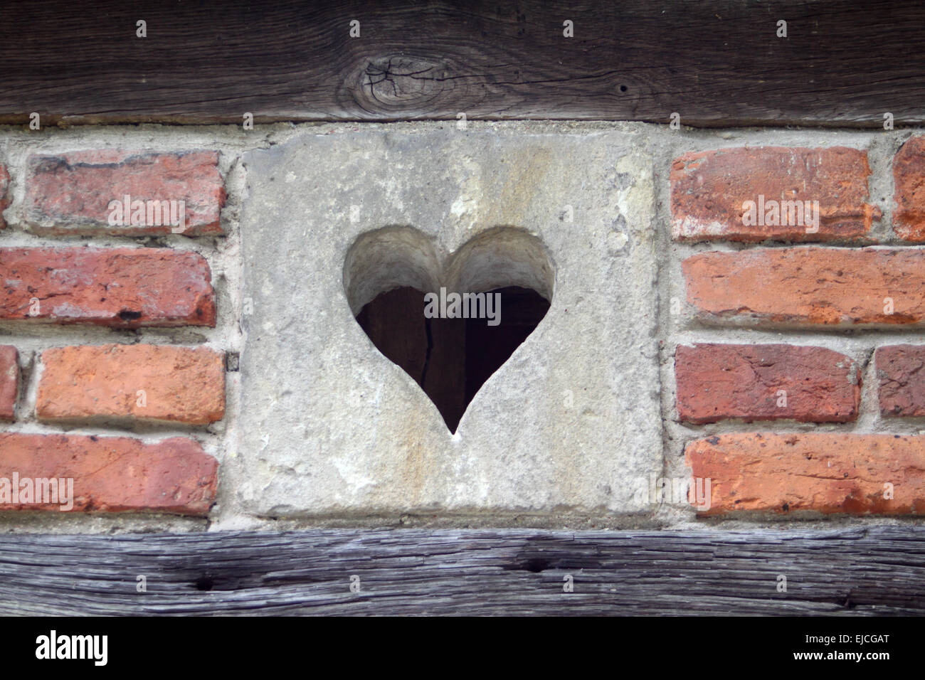 heart Stock Photo