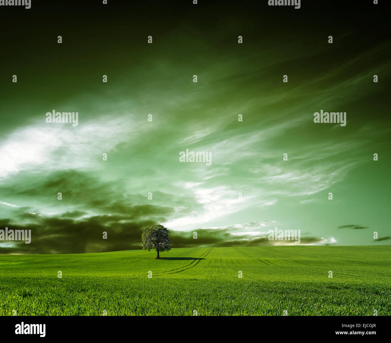 Green panorama sun flare hi-res stock photography and images - Alamy