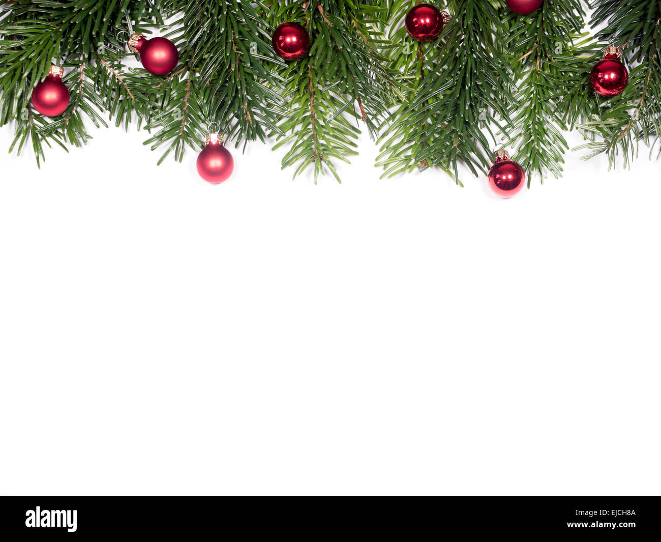 Nordmann fir christmas tree hi-res stock photography and images - Alamy