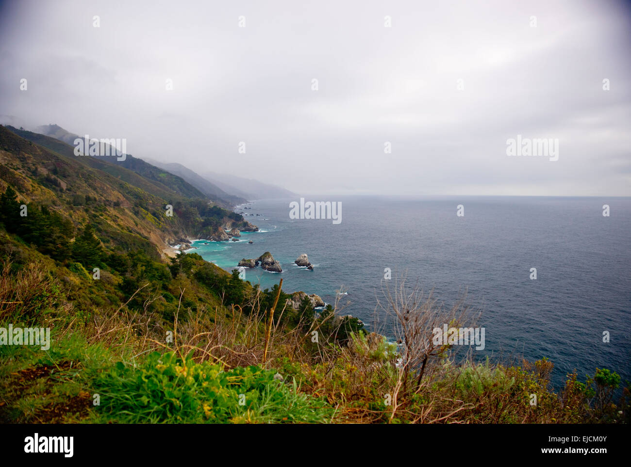 BIg Sur March 2012/ fog; Big Sur after rain ; julia pfeiffer burns