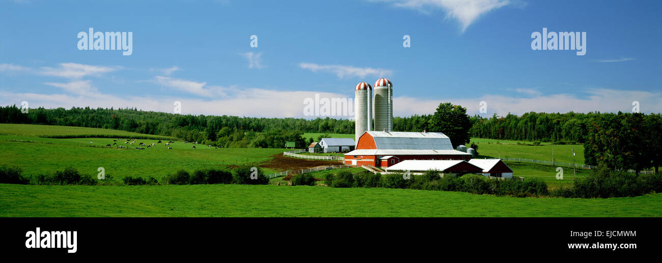 Colchester county hires stock photography and images Alamy