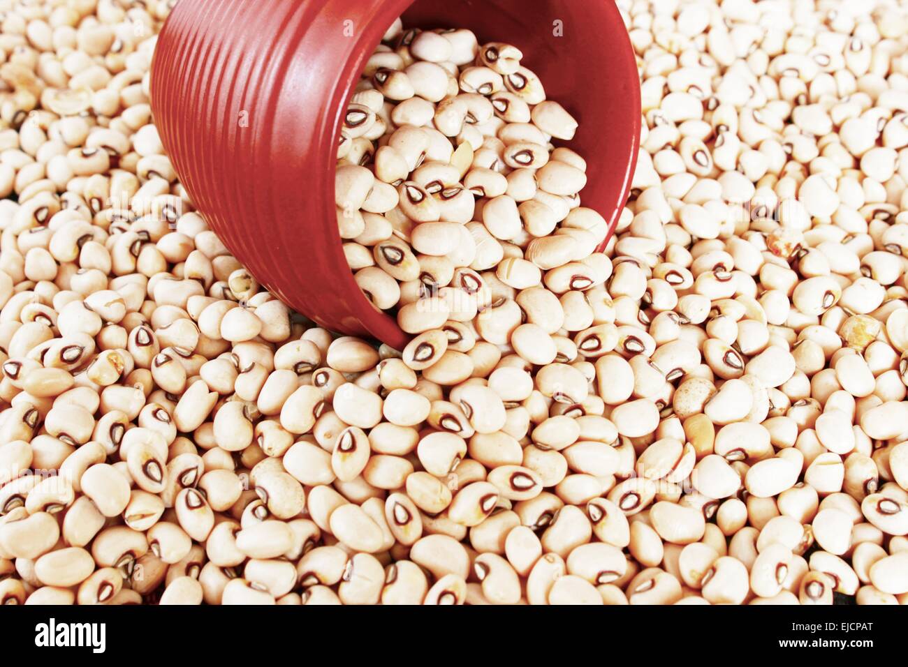 Black Eyed Peas Beans Stock Photo Alamy