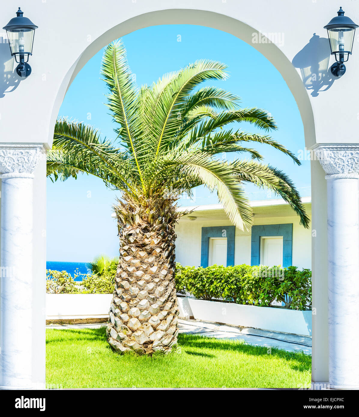 entrance arch palm view Stock Photo