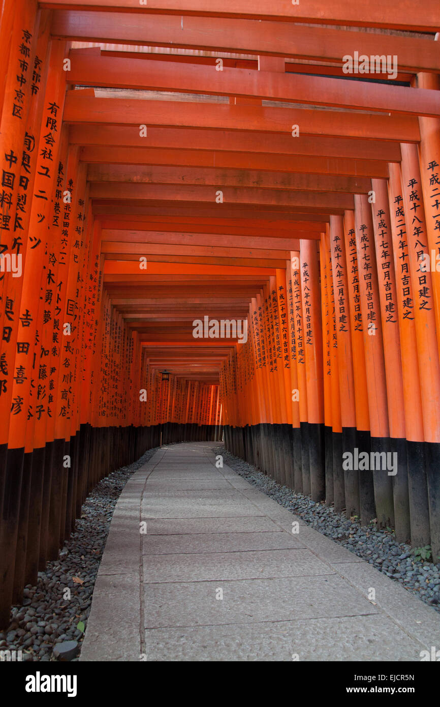 Orange Torii gates at Fushimi Inari Taisha Shrine in Kyoto, Japan Stock ...