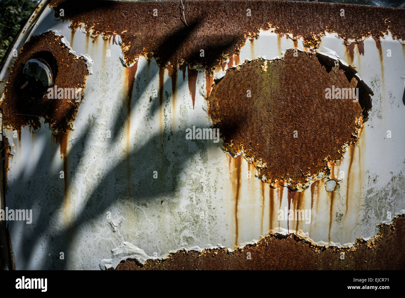 Close-up of the peeling paint and rust on a rusty door of an abandoned white car Stock Photo