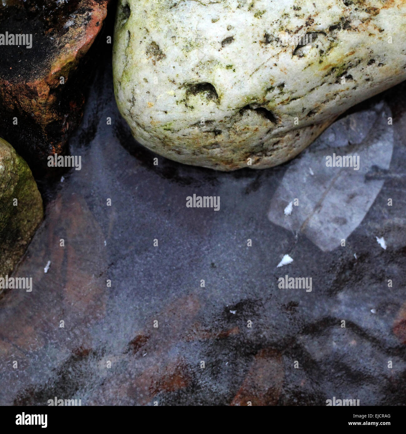 Ice with Stones and Leaves Stock Photo Alamy