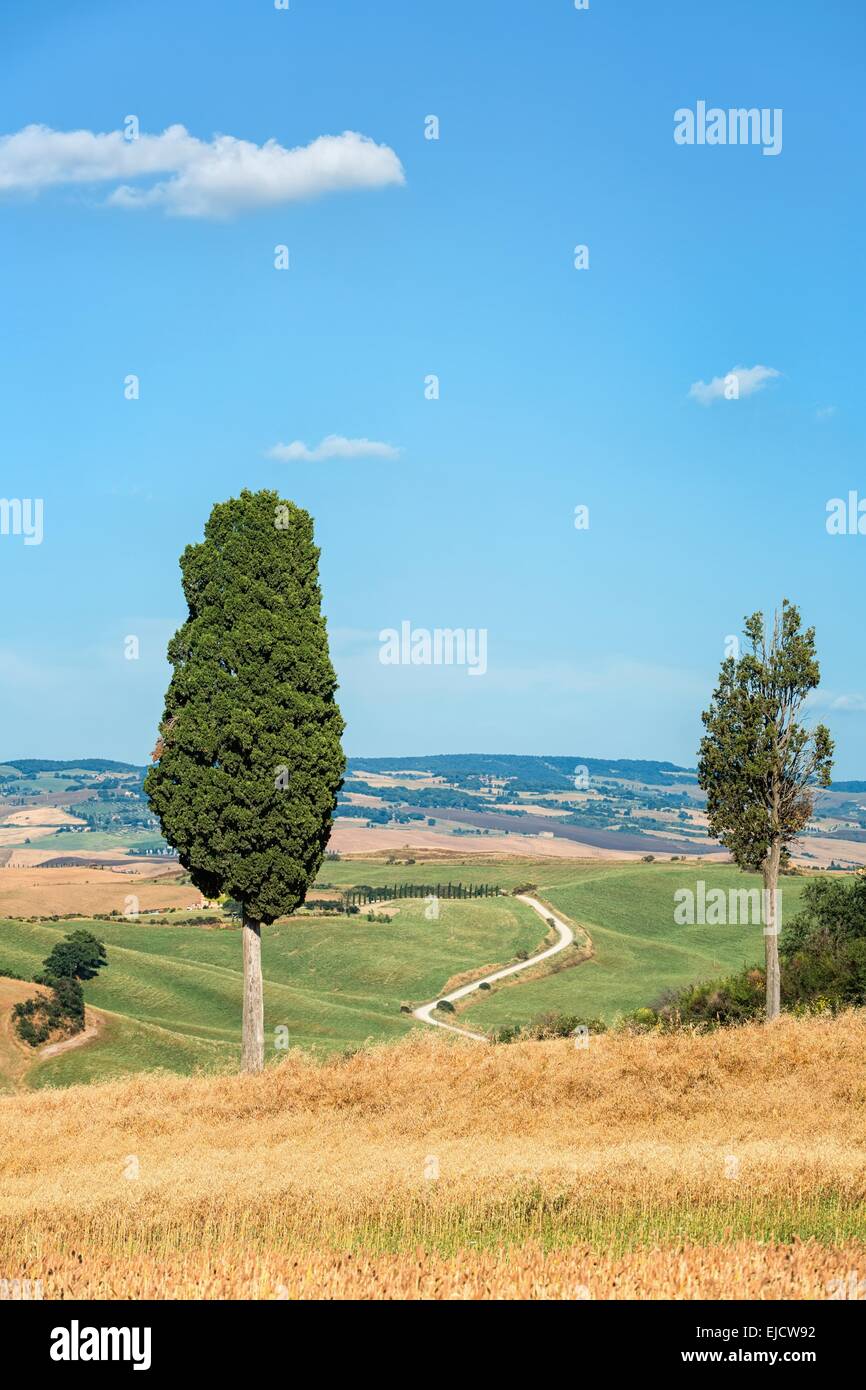 View the actual landscape of Tuscany Stock Photo