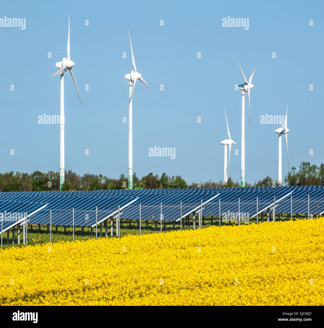 Wind turbines and solar panels Stock Photo
