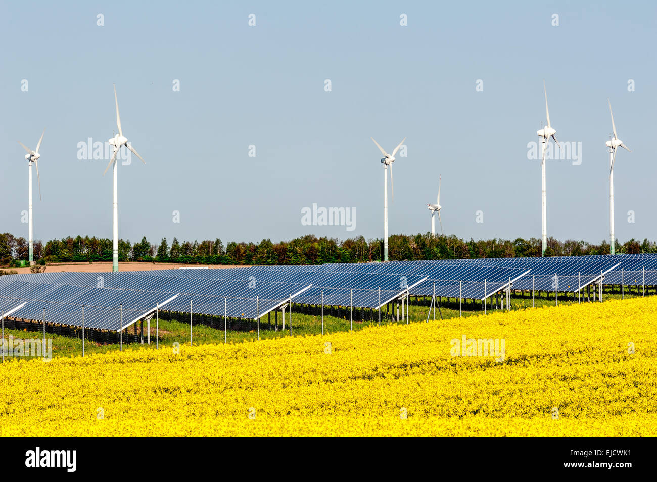 Wind turbines and solar panels Stock Photo