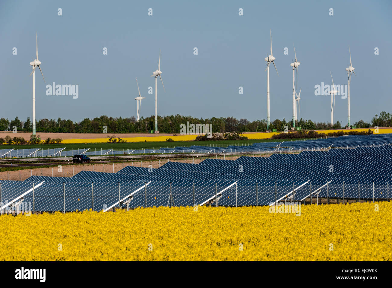 Rape field, solar modules, wind turbines Stock Photo