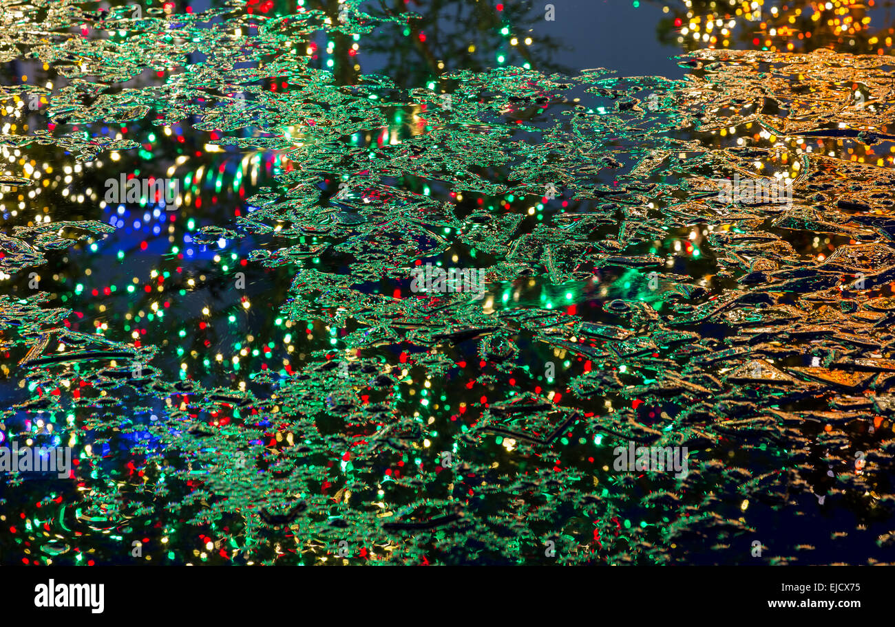 Reflection of christmas trees in frozen pond Stock Photo Alamy