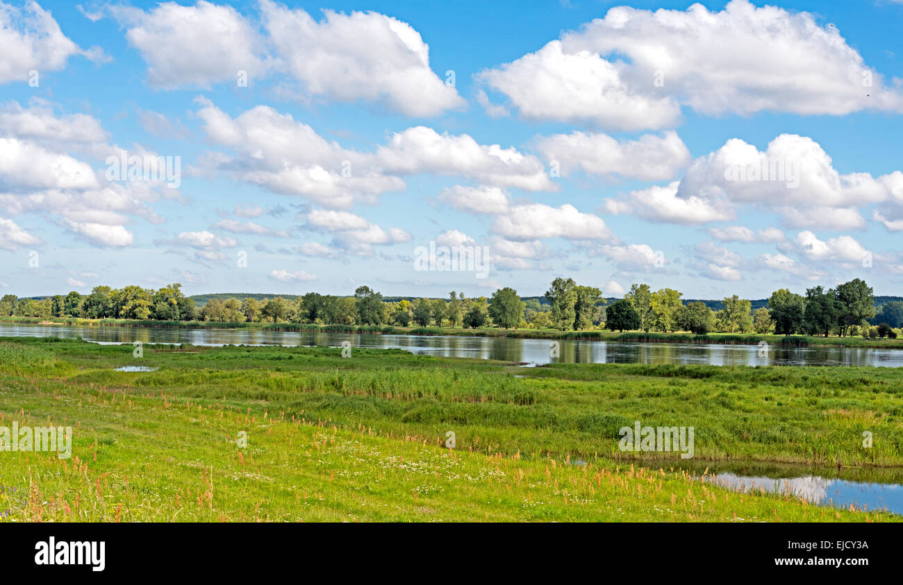 Landscape on the Oder river Stock Photo