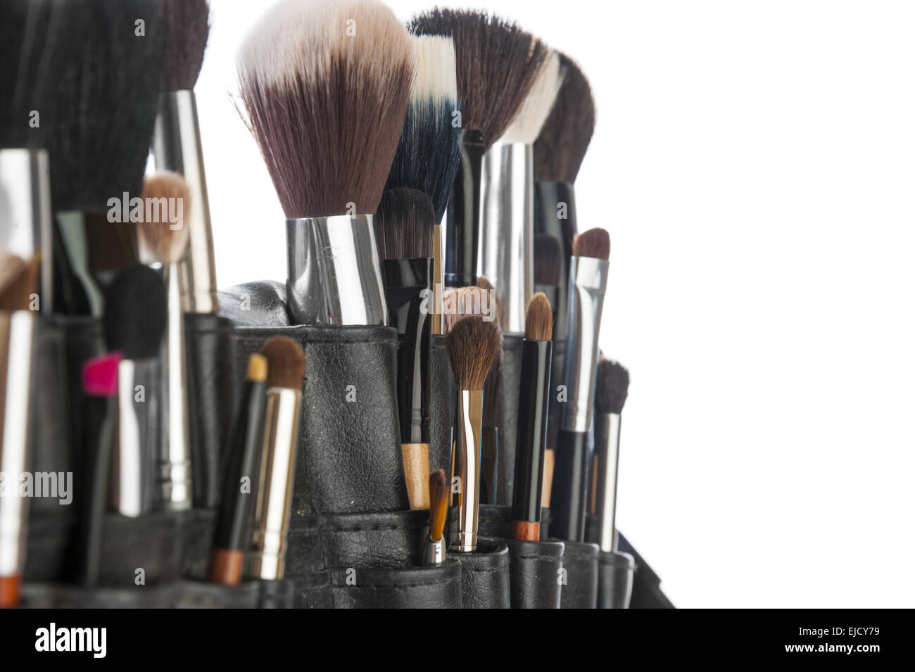 Pro Brush main image 0