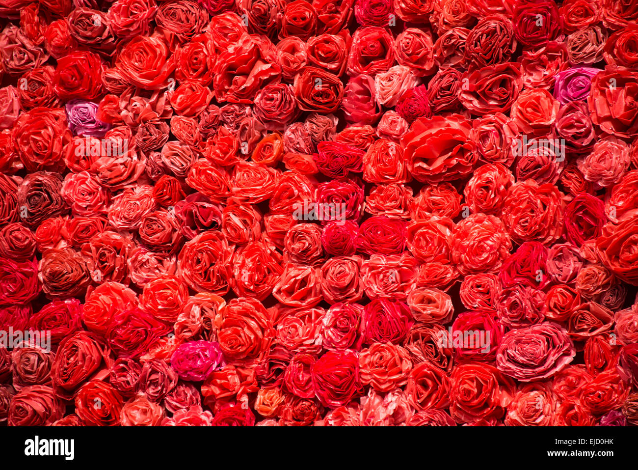 Background made of red roses Stock Photo - Alamy