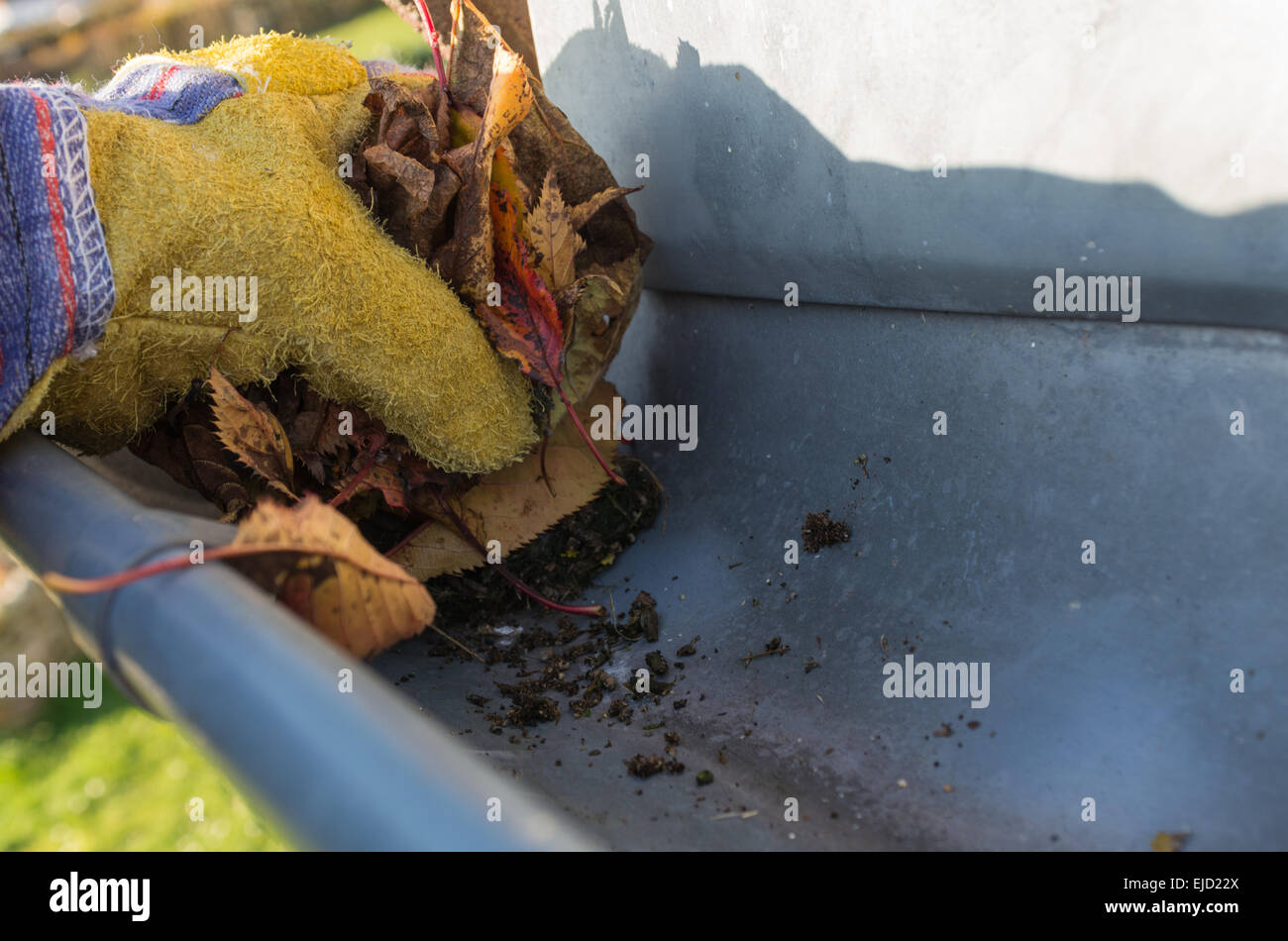 Leaves are removed from the gutter Stock Photo