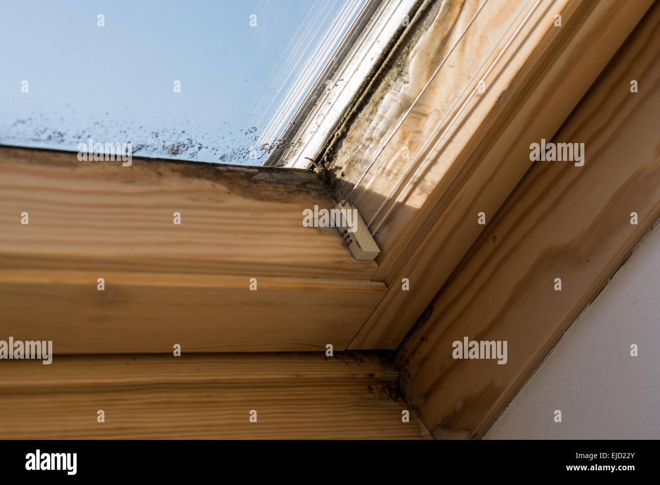 Mold for roof window Stock Photo