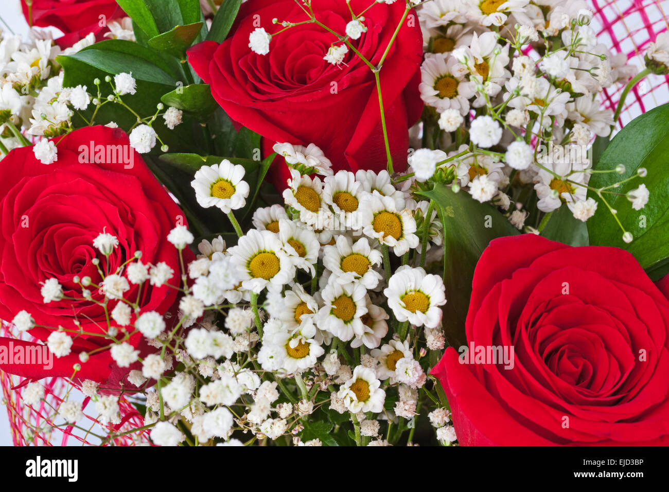 Red roses background Stock Photo - Alamy