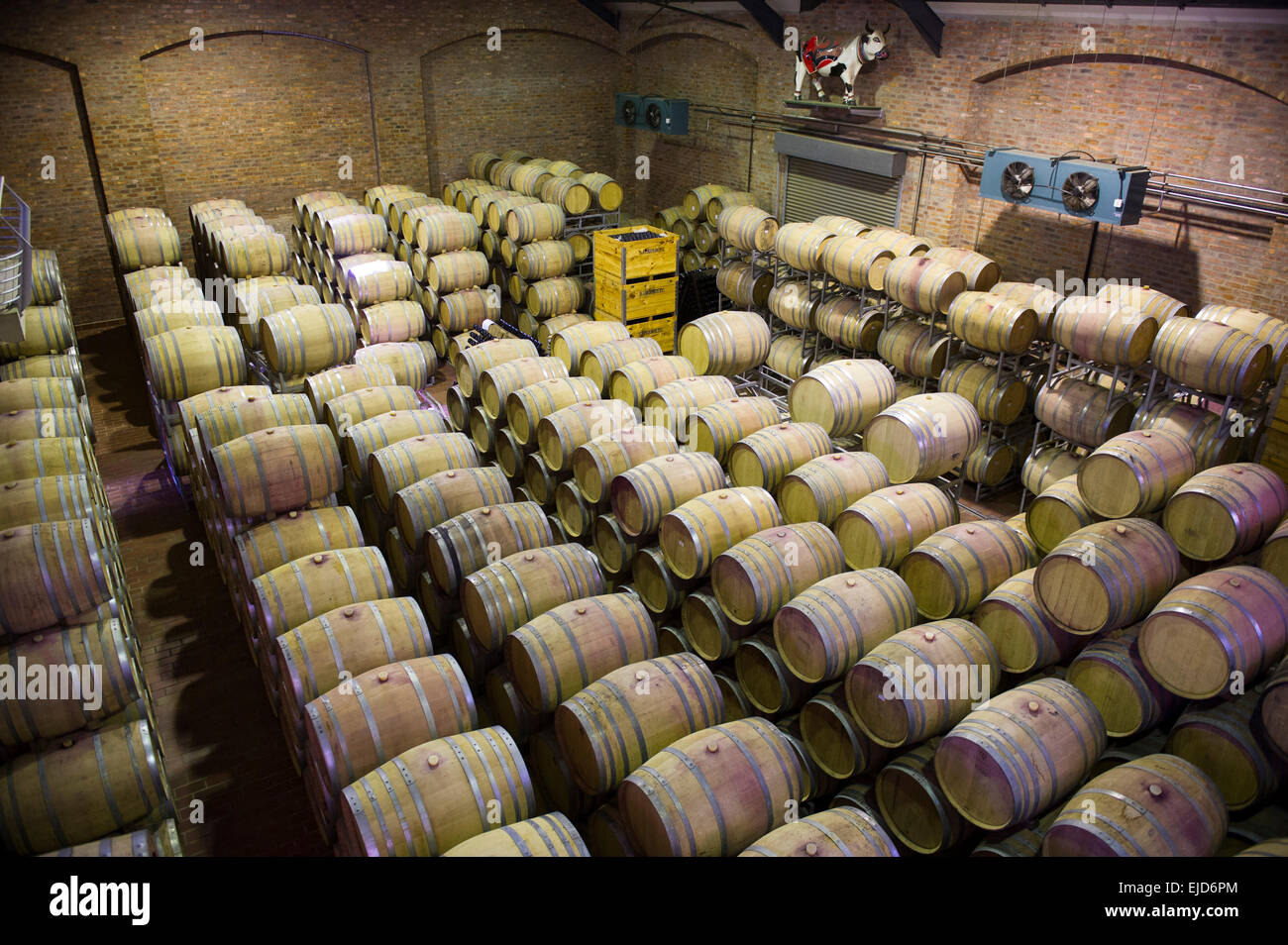 South African Wine Cellar High Resolution Stock Photography and Images ...