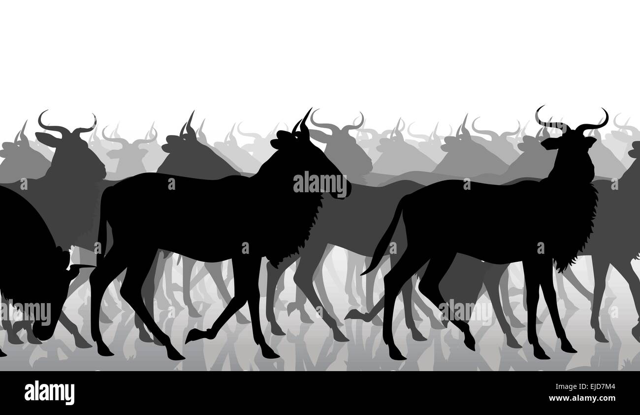 EPS8 editable vector cutout illustration of a herd of adult wildebeest Stock Vector