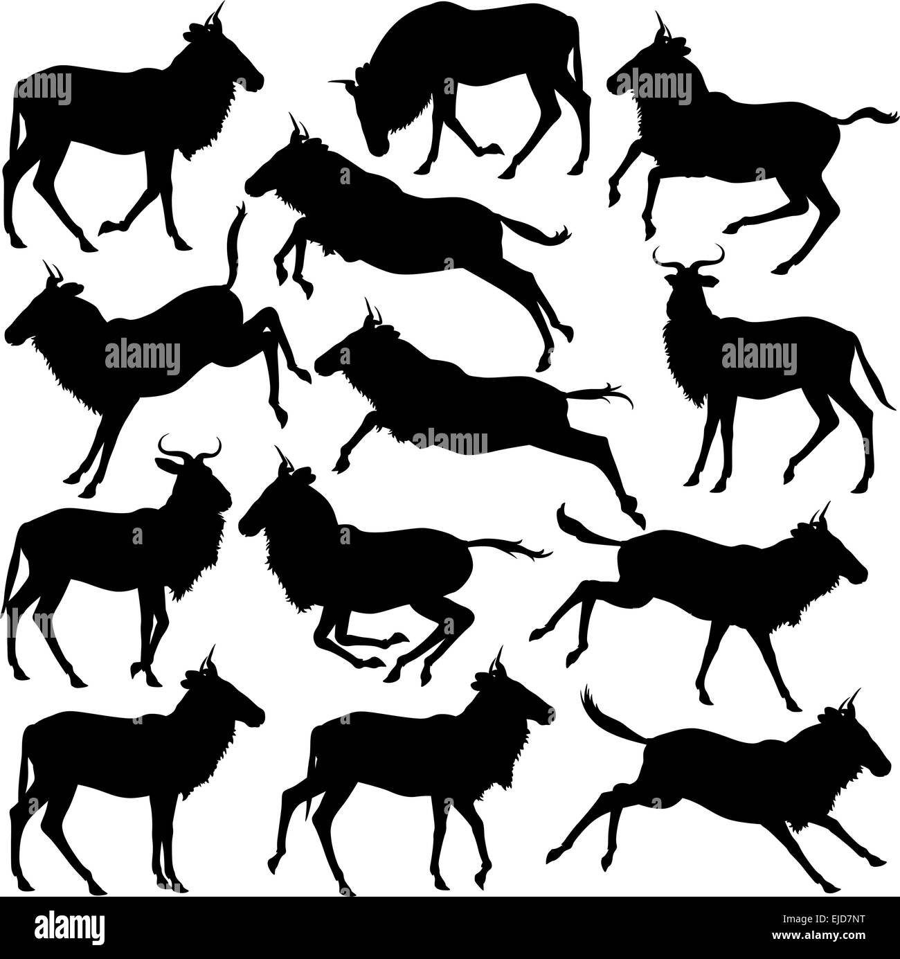 Set of eps8 editable vector silhouettes of adult wildebeest standing, walking, running and jumping Stock Vector