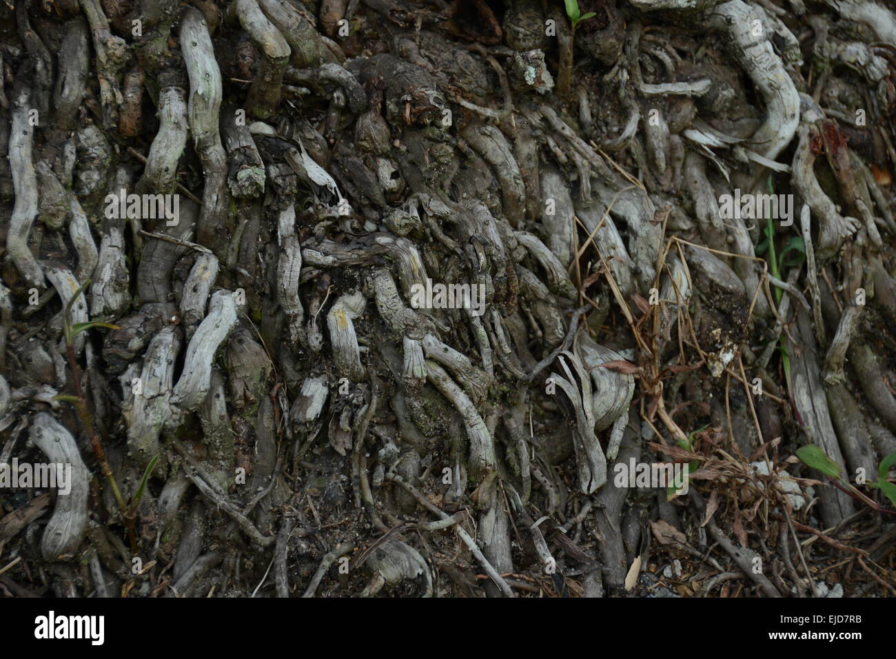 Rough textures hi-res stock photography and images - Alamy