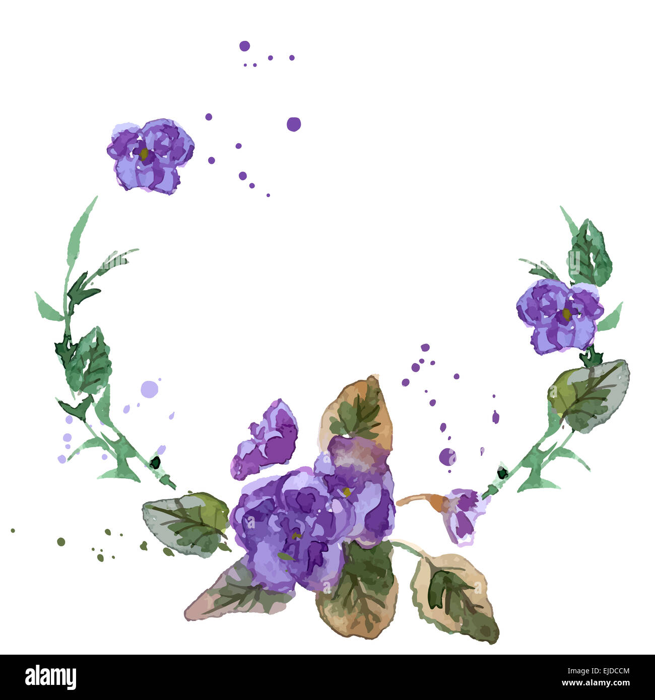 Watercolor Illustration of Violet Flowers Stock Photo - Alamy